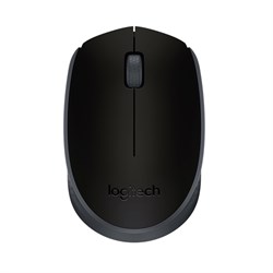 (183094) Мышь беспроводная Logitech Mouse M171 Wireless (910-004424) Black - фото 13742