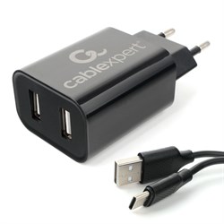 (1028606) Адаптер питания Cablexpert MP3A-PC-37 USB 2 порта, 2.4A, черный + кабель 1м Type-C - фото 37999
