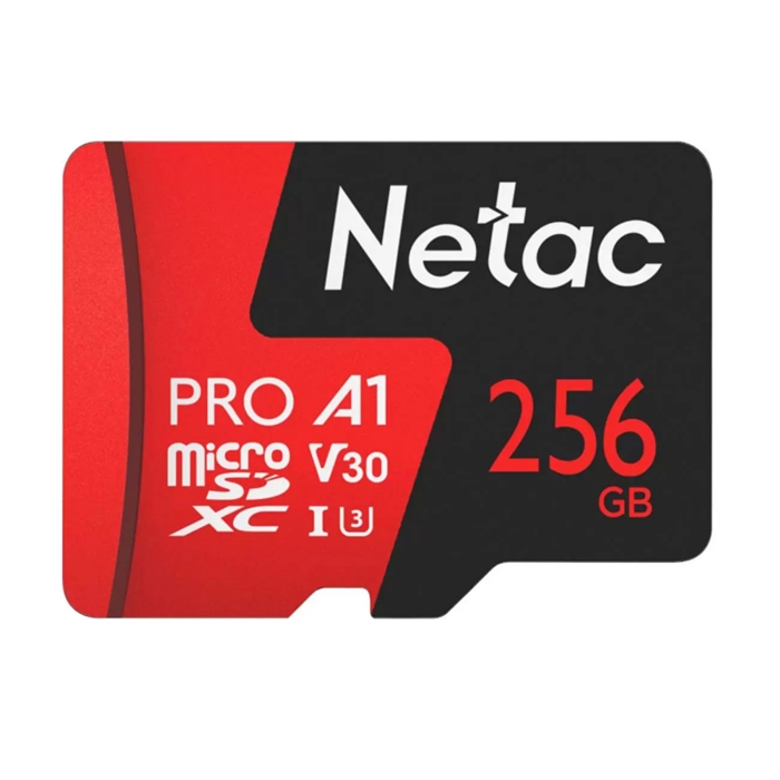 (1032086) Флеш карта microSDHC 256GB Netac P500 PRO <NT02P500PRO-256G-S>  (без SD адаптера) 100MB/s - фото 42636