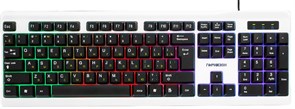 (1011504) Клавиатура Гарнизон GK-110L, подсветка, USB, черный/белый