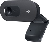 (1028229) Интернет-камера Logitech C505e