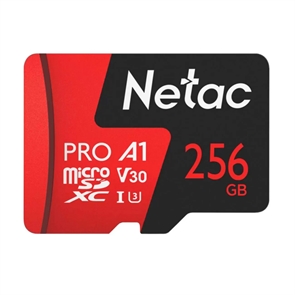 (1032086) Флеш карта microSDHC 256GB Netac P500 PRO <NT02P500PRO-256G-S>  (без SD адаптера) 100MB/s