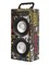 (1009962) Акустическая портативная система KS-is KS-314 Bluetooth/FM/RC/бат-я KS-314 - фото 19649