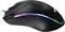 (1021798) Игровая мышь HIPER Genome GM-1 чёрная (USB, 7 кнопок, 4800 dpi, RGB подсветка) GM-1 - фото 38424